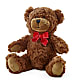 Adorable Plush Bear – All Occasion Florist, Sevierville TN