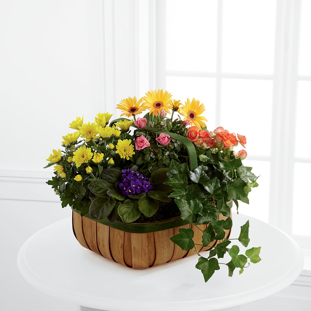 Gentle Blossoms Basket – All Occasion Florist, Sevierville TN