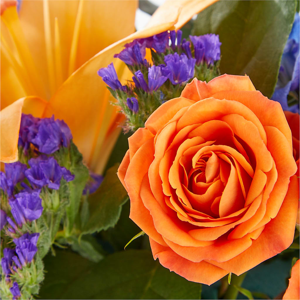 Radiant Citrus Box Bouquet – All Occasion Florist, Sevierville TN