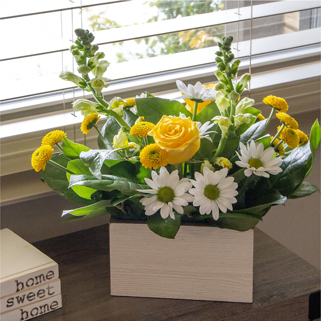 Sun Salutation Box Bouquet – All Occasion Florist, Sevierville TN