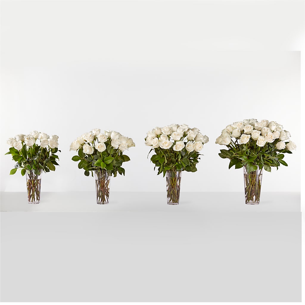 Long Stem White Rose Bouquet – All Occasion Florist, Sevierville TN