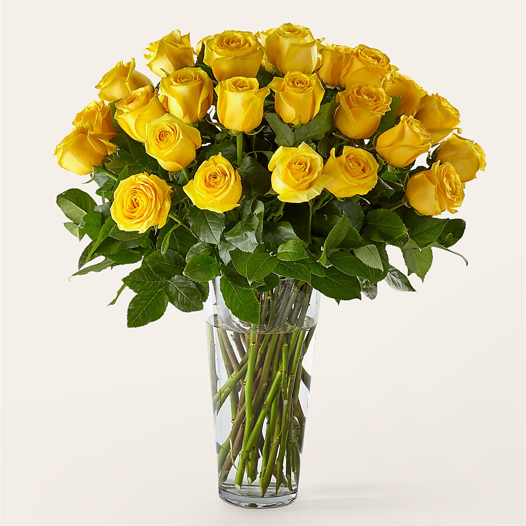 Long Stem Yellow Rose Bouquet – All Occasion Florist, Sevierville TN