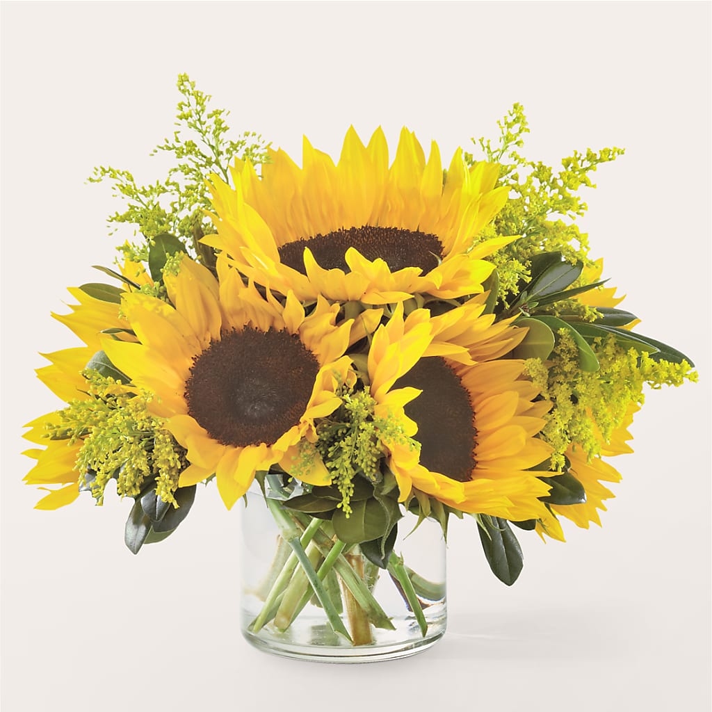 Beaming Sunflower Bouquet – All Occasion Florist, Sevierville TN