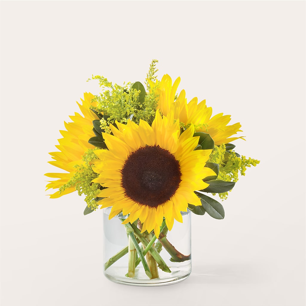 Beaming Sunflower Bouquet – All Occasion Florist, Sevierville TN