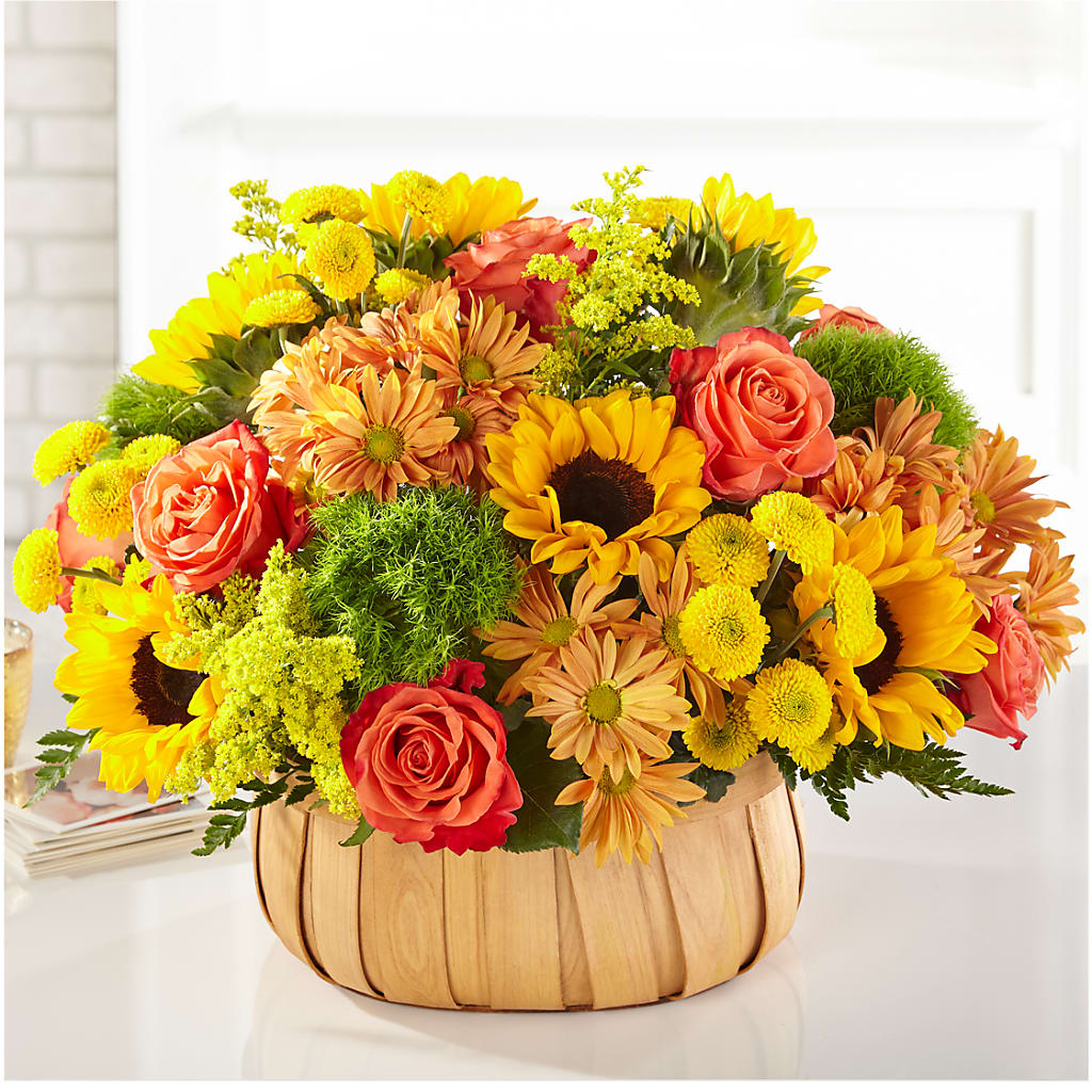 Harvest Sunflower Basket – All Occasion Florist, Sevierville TN
