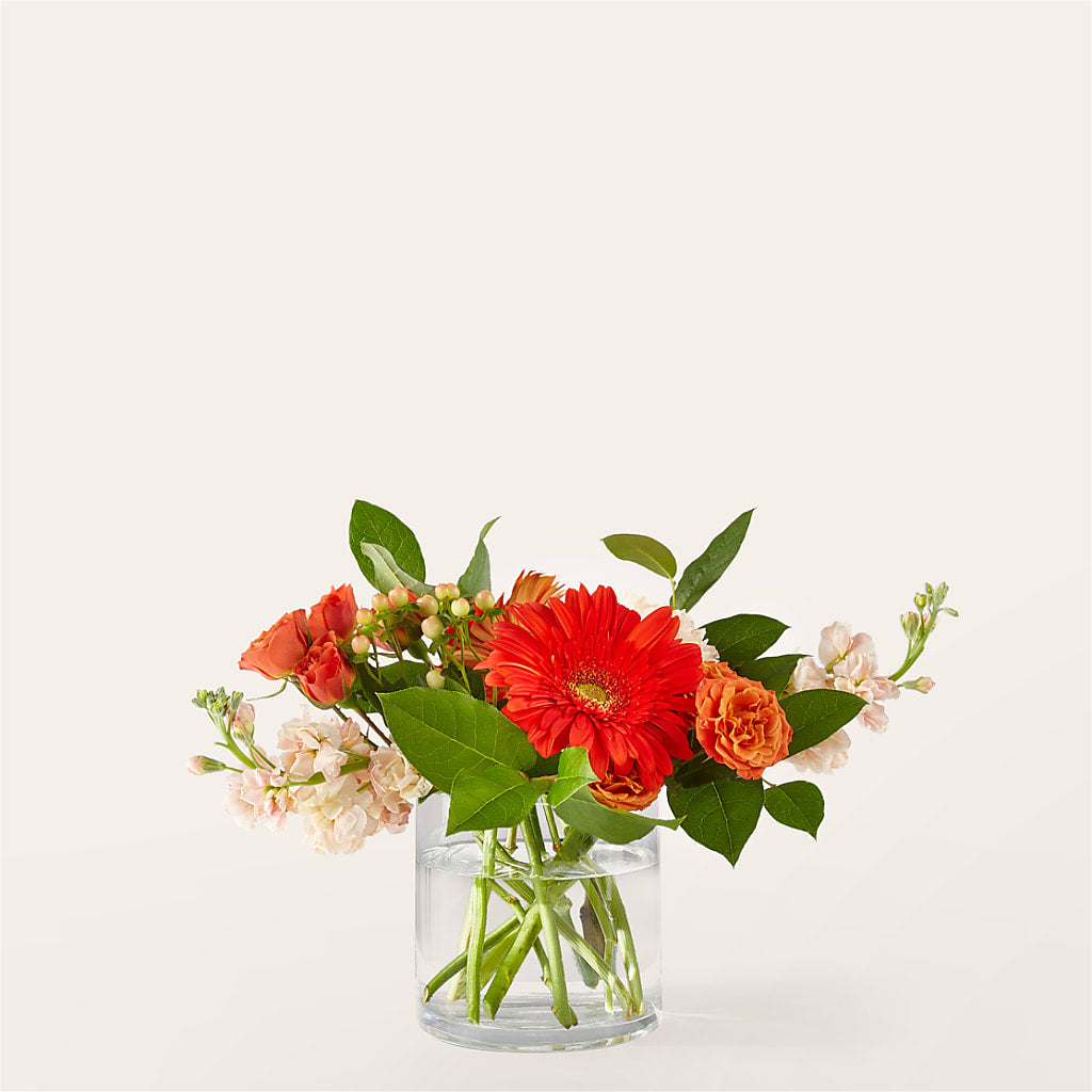Paloma Please Bouquet – All Occasion Florist, Sevierville TN