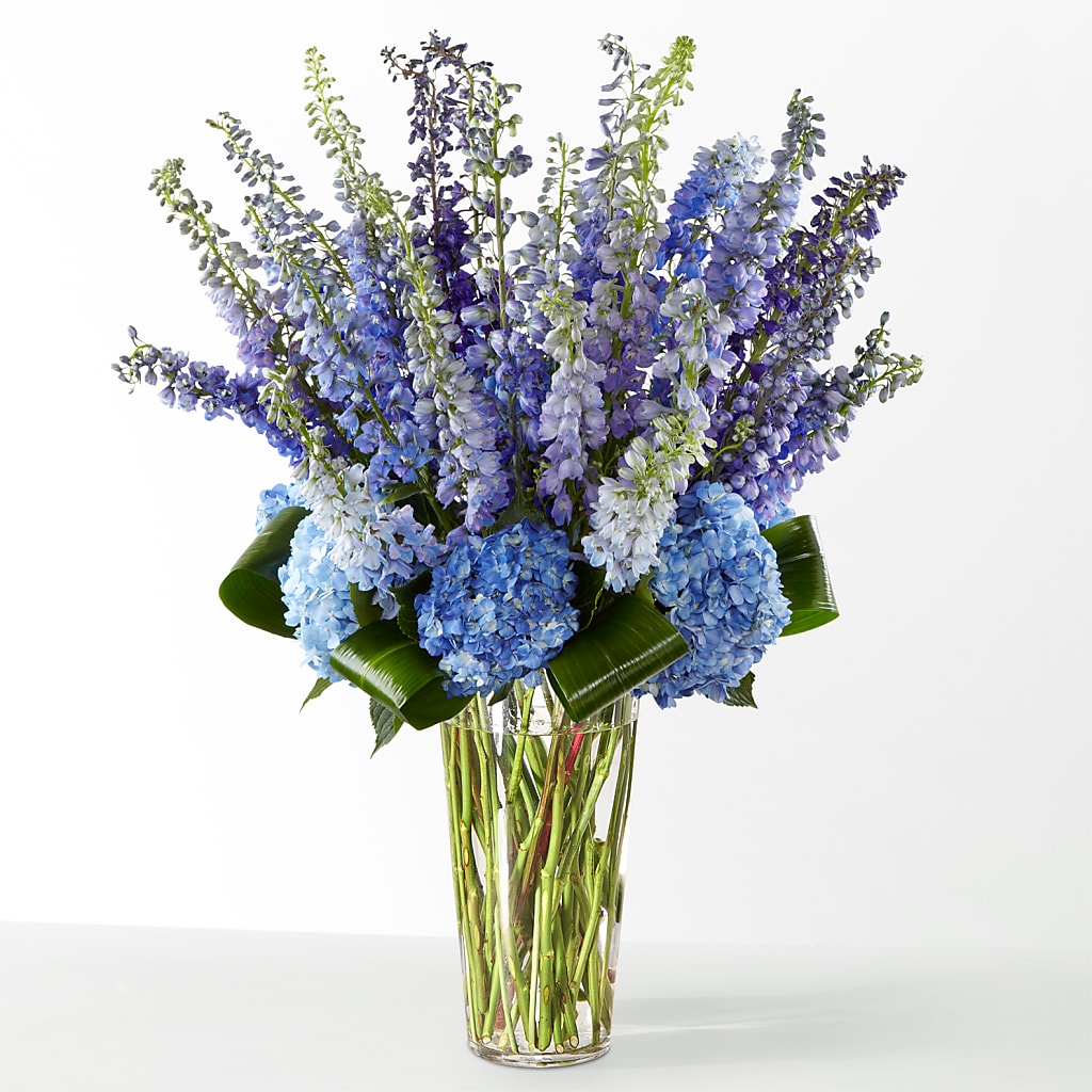 The Editorial – All Occasion Florist, Sevierville TN