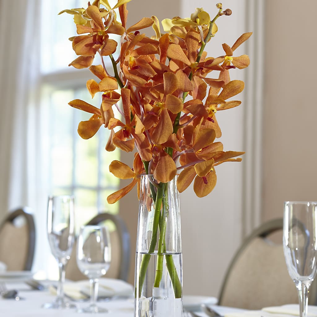 Orange Mokara Bud Vase – All Occasion Florist, Sevierville TN