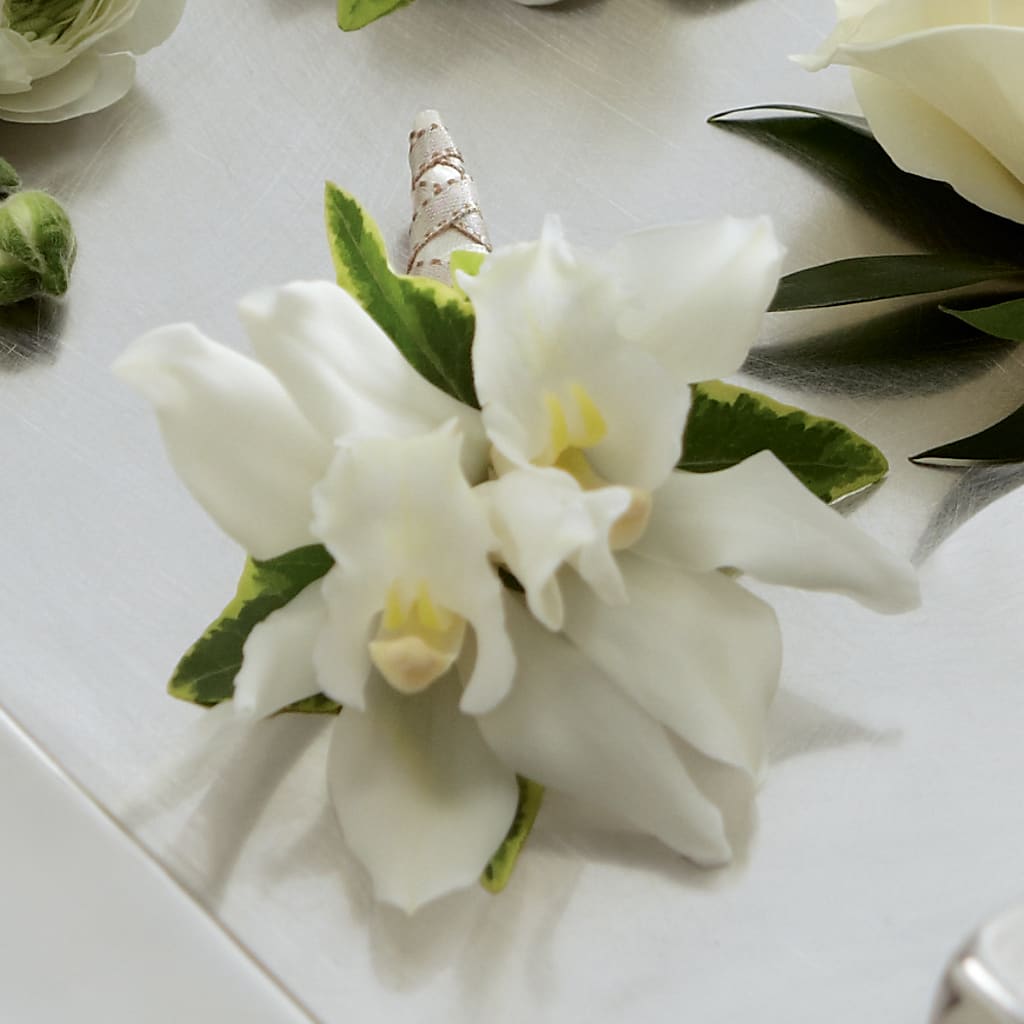 White Mini Cymbidium Boutonniere – All Occasion Florist, Sevierville TN