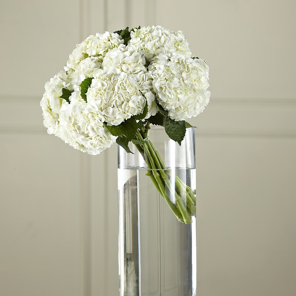 White Hydrangea Hand-Tied Bouquet – All Occasion Florist, Sevierville TN