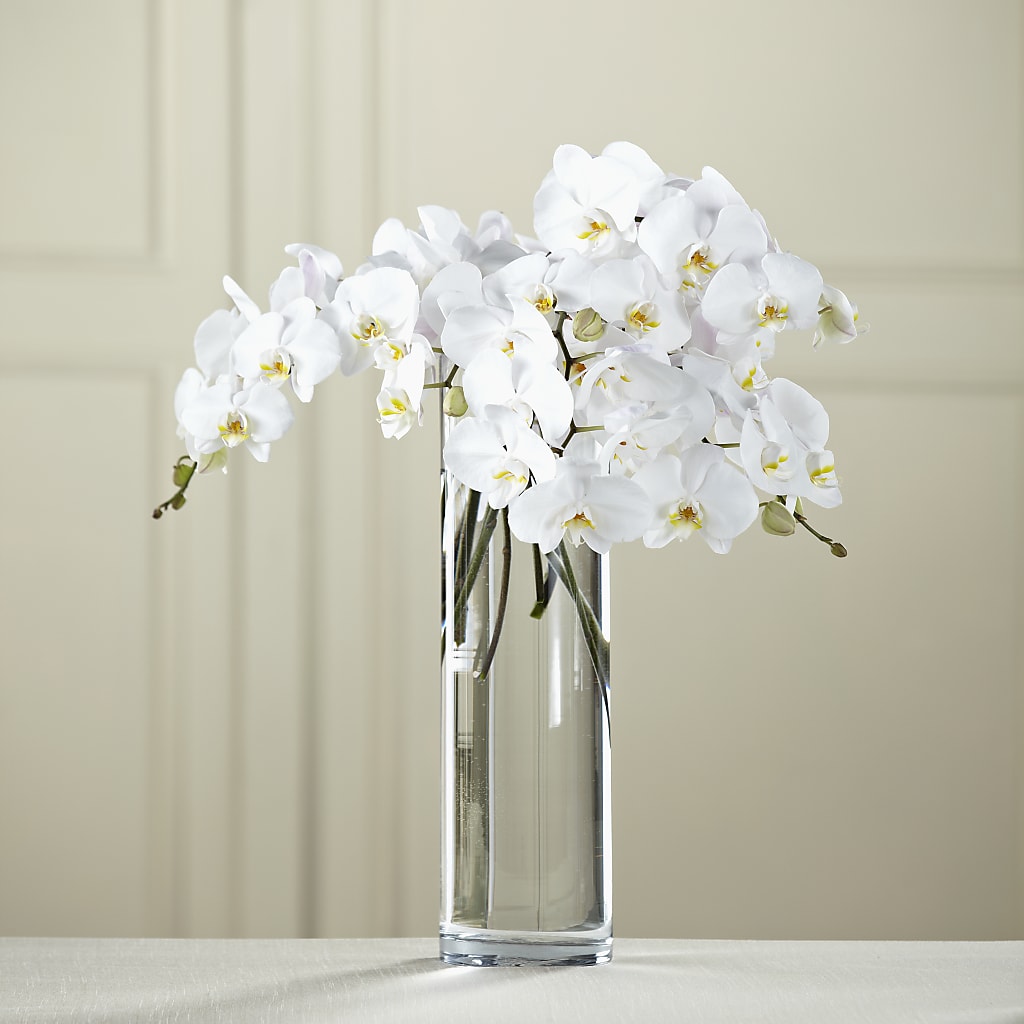 White Phalaenopsis Bouquet – All Occasion Florist, Sevierville TN