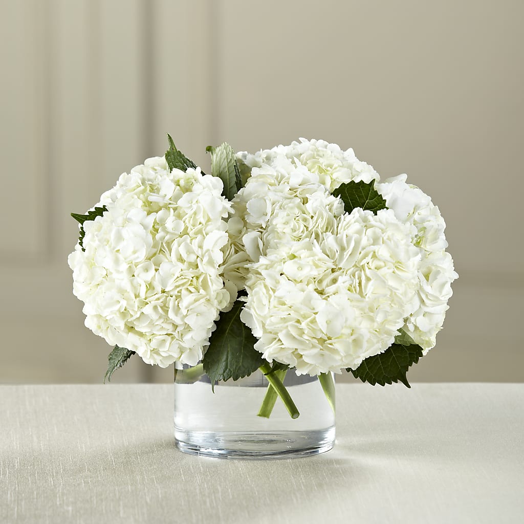White Hydrangea Bouquet – All Occasion Florist, Sevierville TN