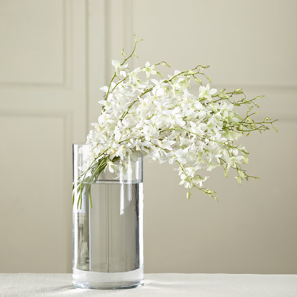 White Dendrobium Bouquet – All Occasion Florist, Sevierville TN