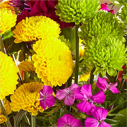 Bold & Bright – A Florist Original –  All Occasion Florist, Sevierville TN