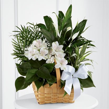 Peace & Serenity Dishgarden –  All Occasion Florist, Sevierville TN