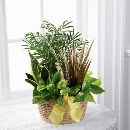 French Garden –  All Occasion Florist, Sevierville TN