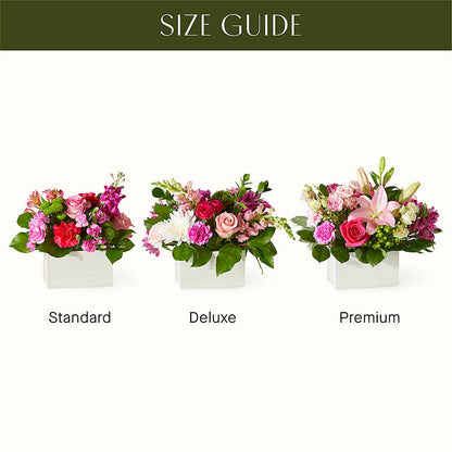 Sweetberry Box – A Florist Original –  All Occasion Florist, Sevierville TN