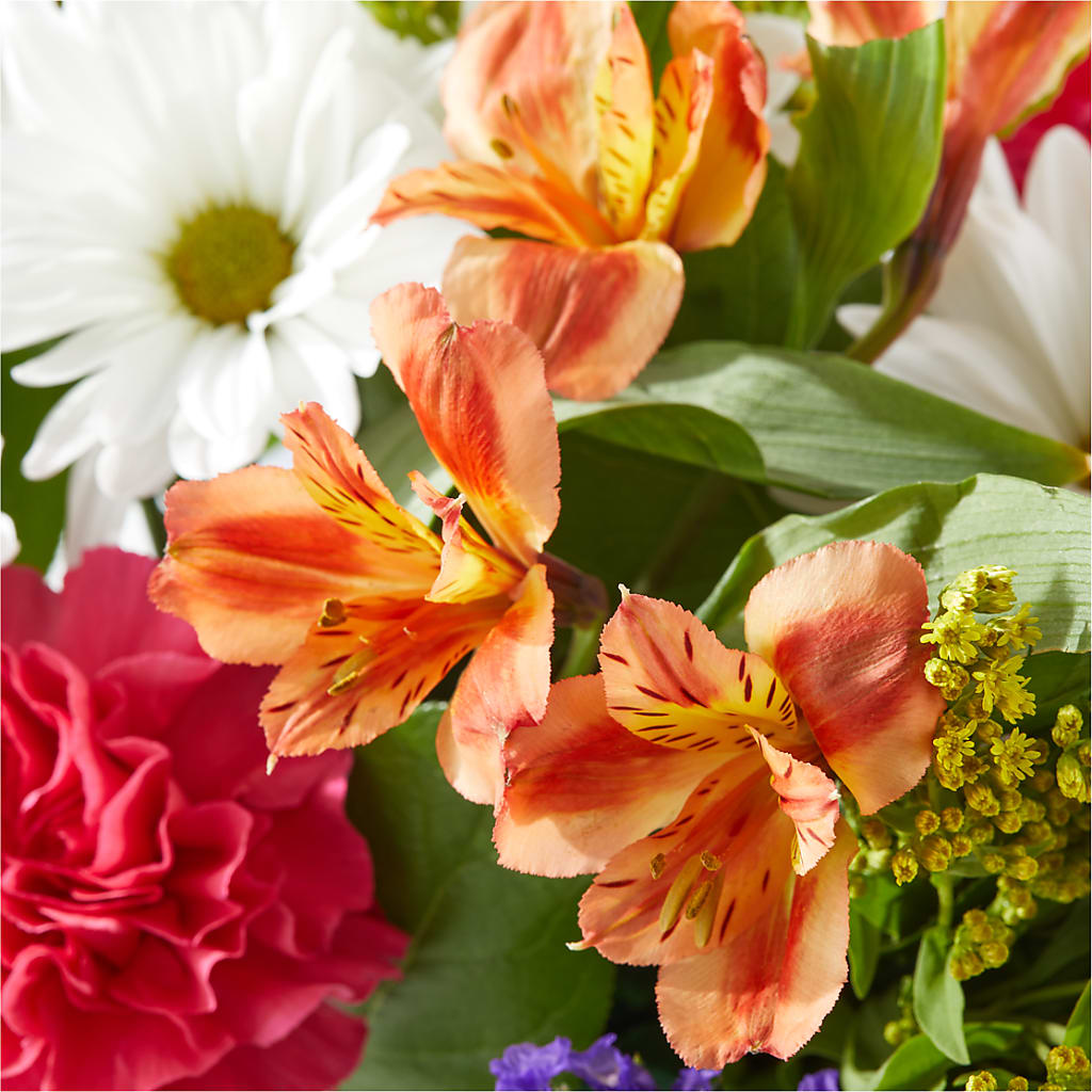 Oopsie Daisy Box Bouquet –  All Occasion Florist, Sevierville TN