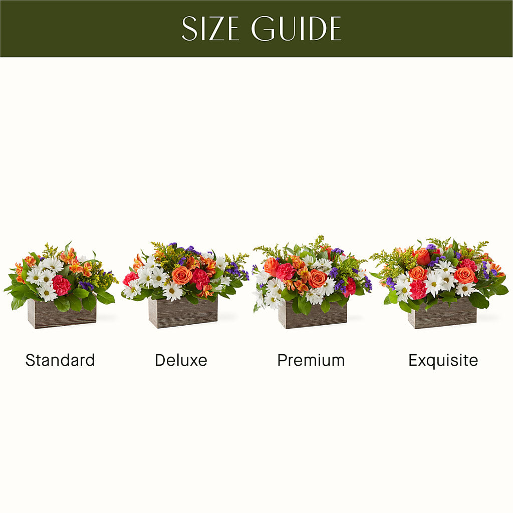 Oopsie Daisy Box Bouquet –  All Occasion Florist, Sevierville TN