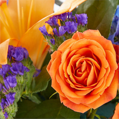 Radiant Citrus Box Bouquet –  All Occasion Florist, Sevierville TN