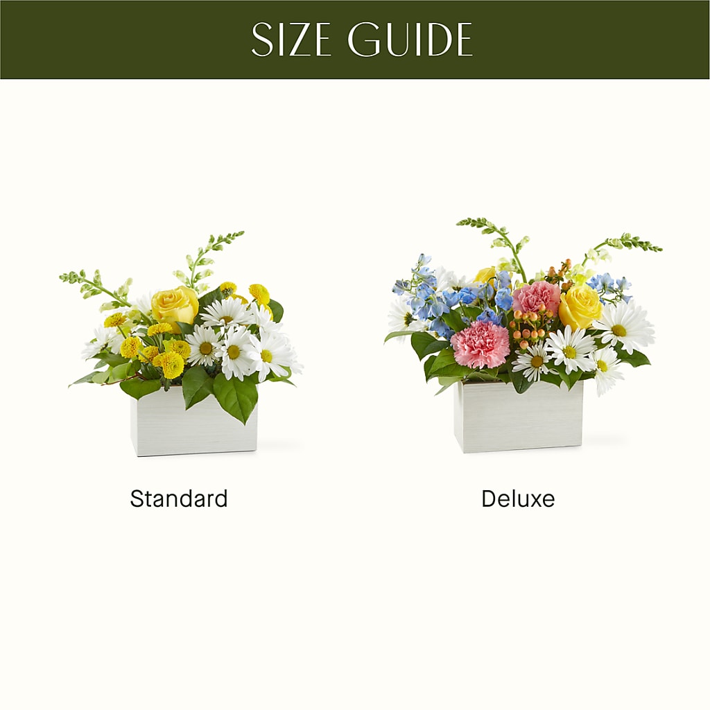Sun Salutation Box Bouquet –  All Occasion Florist, Sevierville TN