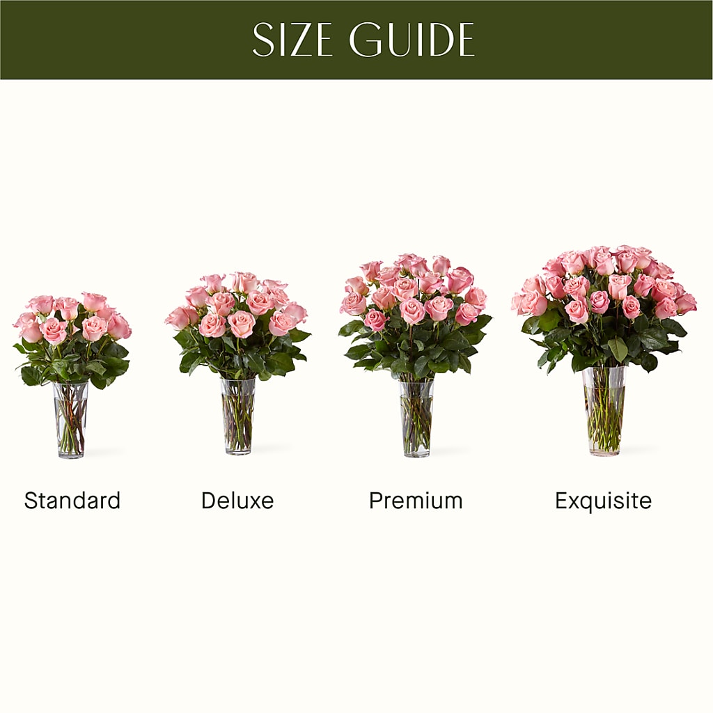 Long Stem Pink Rose Bouquet –  All Occasion Florist, Sevierville TN