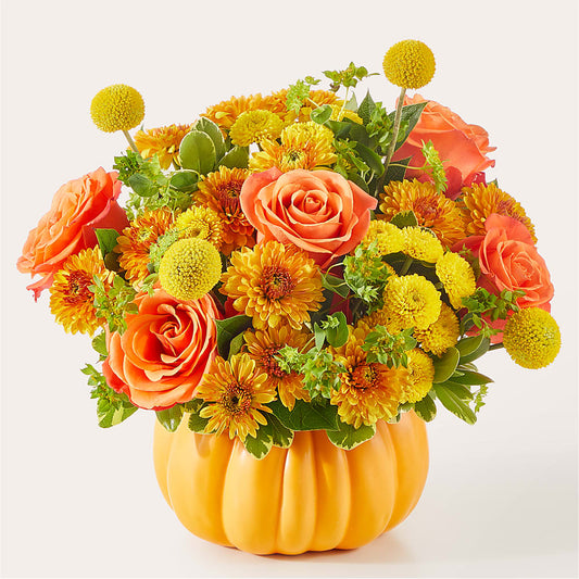 Gourdgeous Pumpkin –  All Occasion Florist, Sevierville TN