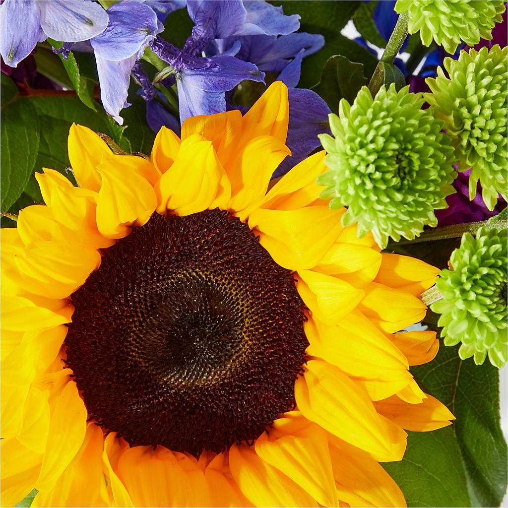 Catching Rays Bouquet –  All Occasion Florist, Sevierville TN