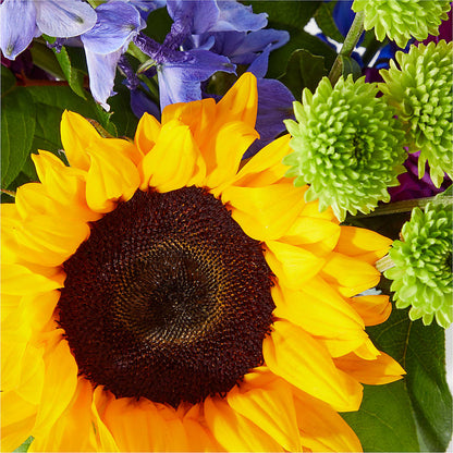Catching Rays Bouquet –  All Occasion Florist, Sevierville TN