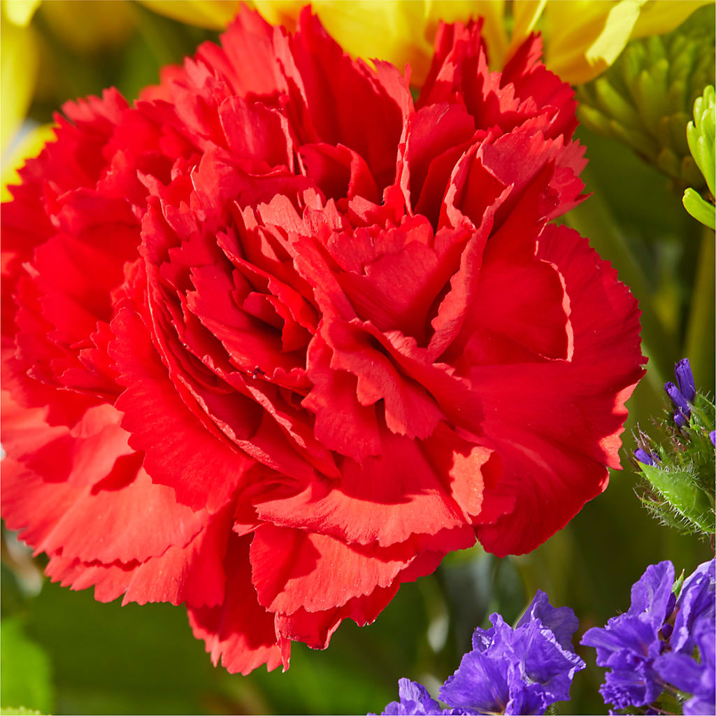 Brighter Days Bouquet –  All Occasion Florist, Sevierville TN