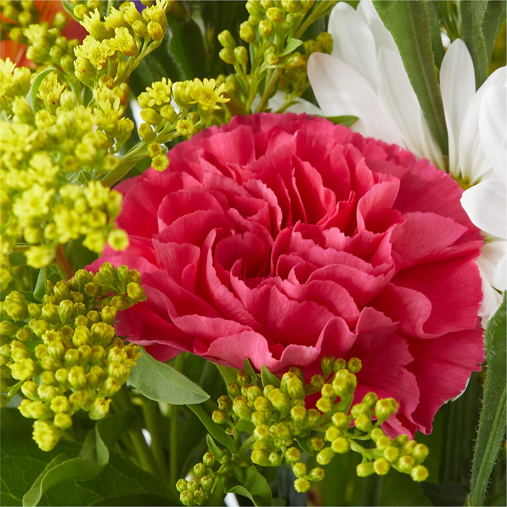 Oopsie Daisy Bouquet –  All Occasion Florist, Sevierville TN