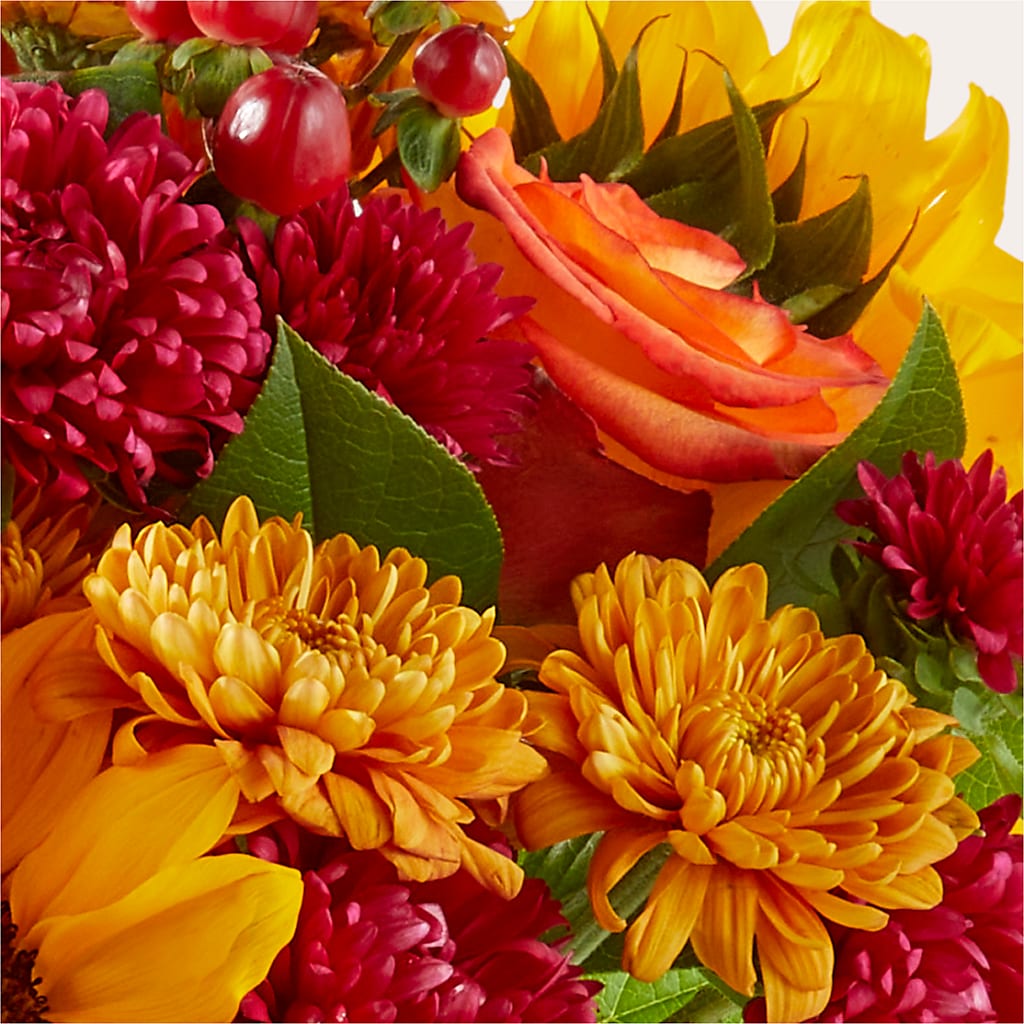 Sweater Season - A Florist Original –  All Occasion Florist, Sevierville TN