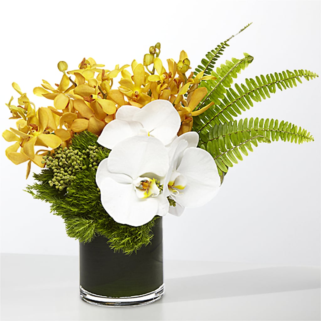 The Tropics –  All Occasion Florist, Sevierville TN