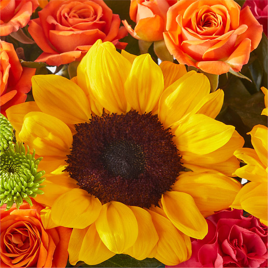 Sun-drenched Blooms Box Bouquet –  All Occasion Florist, Sevierville TN