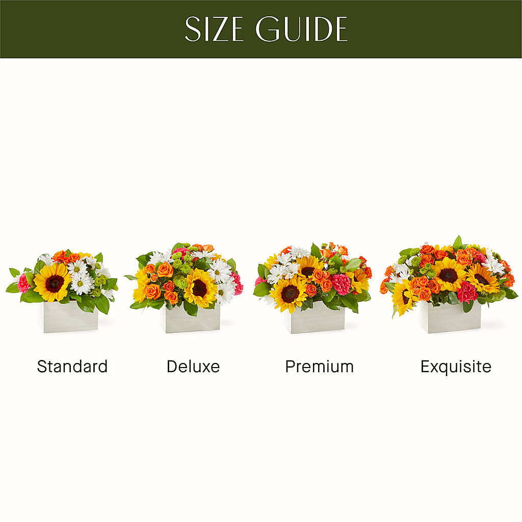 Sun-drenched Blooms Box Bouquet –  All Occasion Florist, Sevierville TN