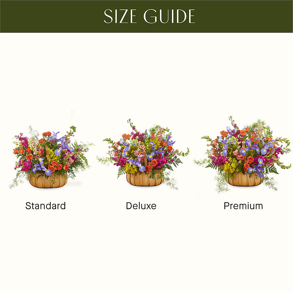 Garden of Life Basket –  All Occasion Florist, Sevierville TN