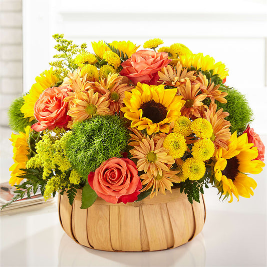 Harvest Sunflower Basket – ALL OCCASION FLORIST, Sevierville TN