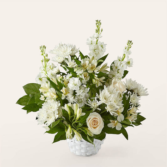 Eternal Affection Arrangement –  All Occasion Florist, Sevierville TN