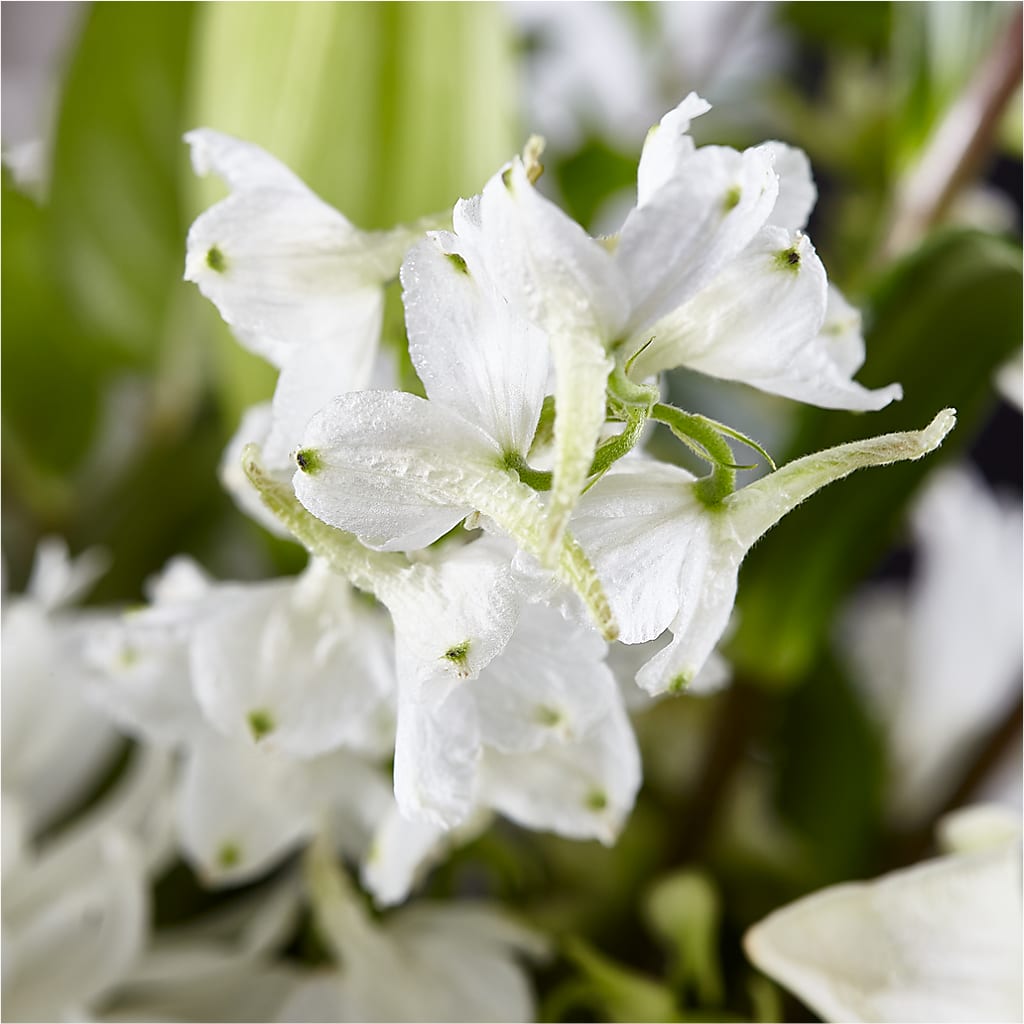 Classic Ivory – A Florist Original –  All Occasion Florist, Sevierville TN