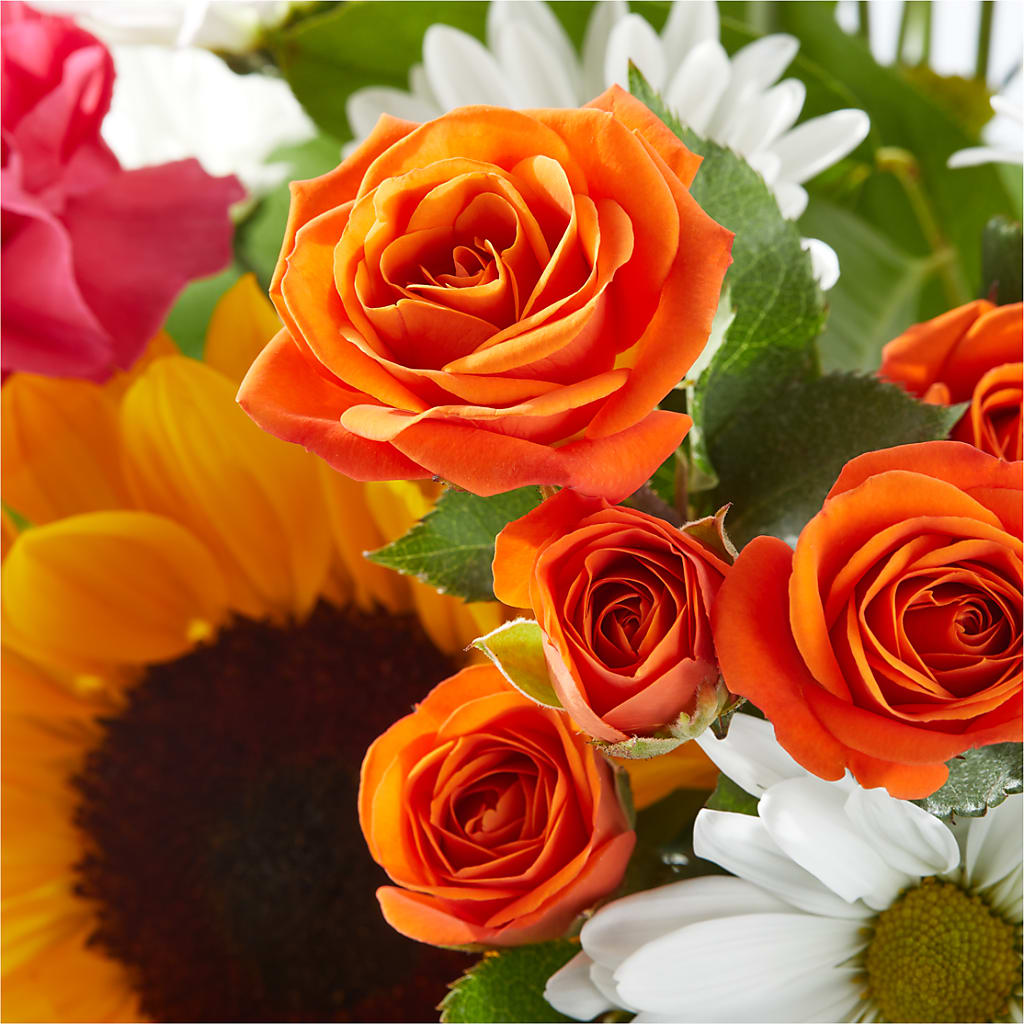 Sun-drenched Blooms Bouquet –  All Occasion Florist, Sevierville TN