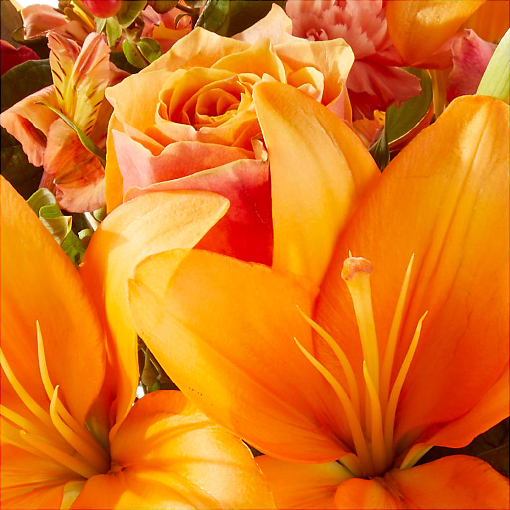 Afternoon Light Bouquet –  All Occasion Florist, Sevierville TN