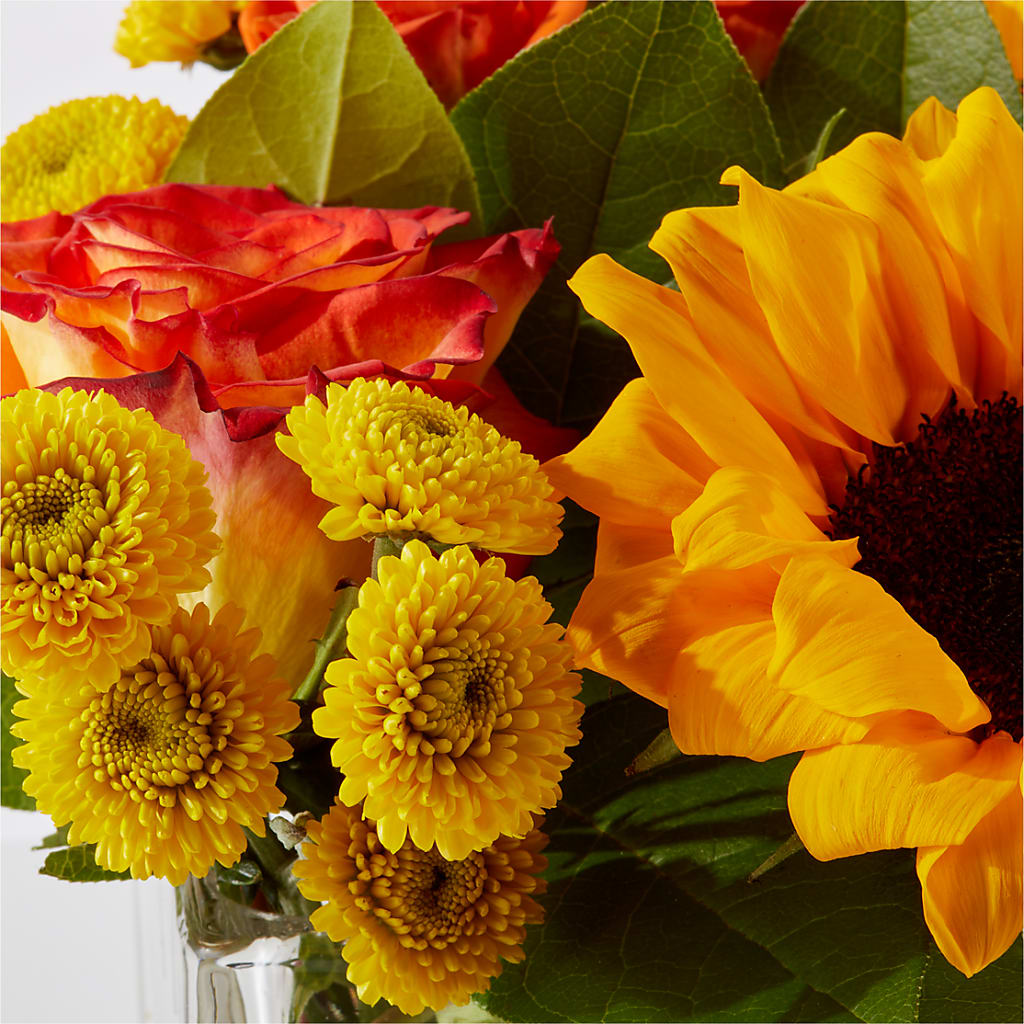 Picnic in the Park Bouquet –  All Occasion Florist, Sevierville TN