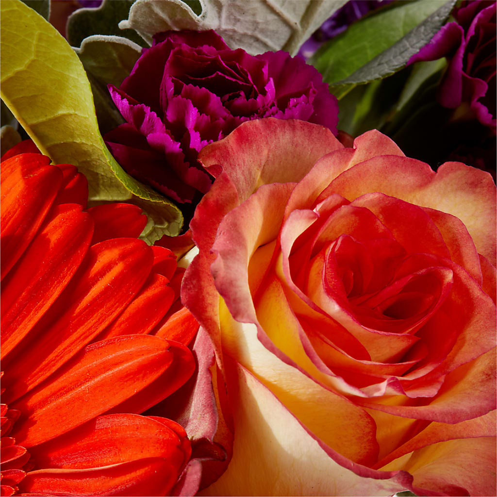 Sangria Bouquet –  All Occasion Florist, Sevierville TN