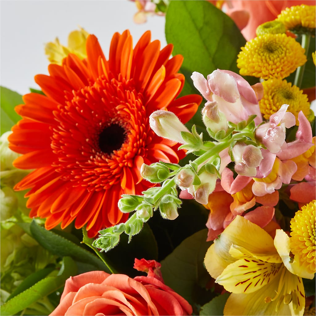 Autumn Sunshine Bouquet –  All Occasion Florist, Sevierville TN