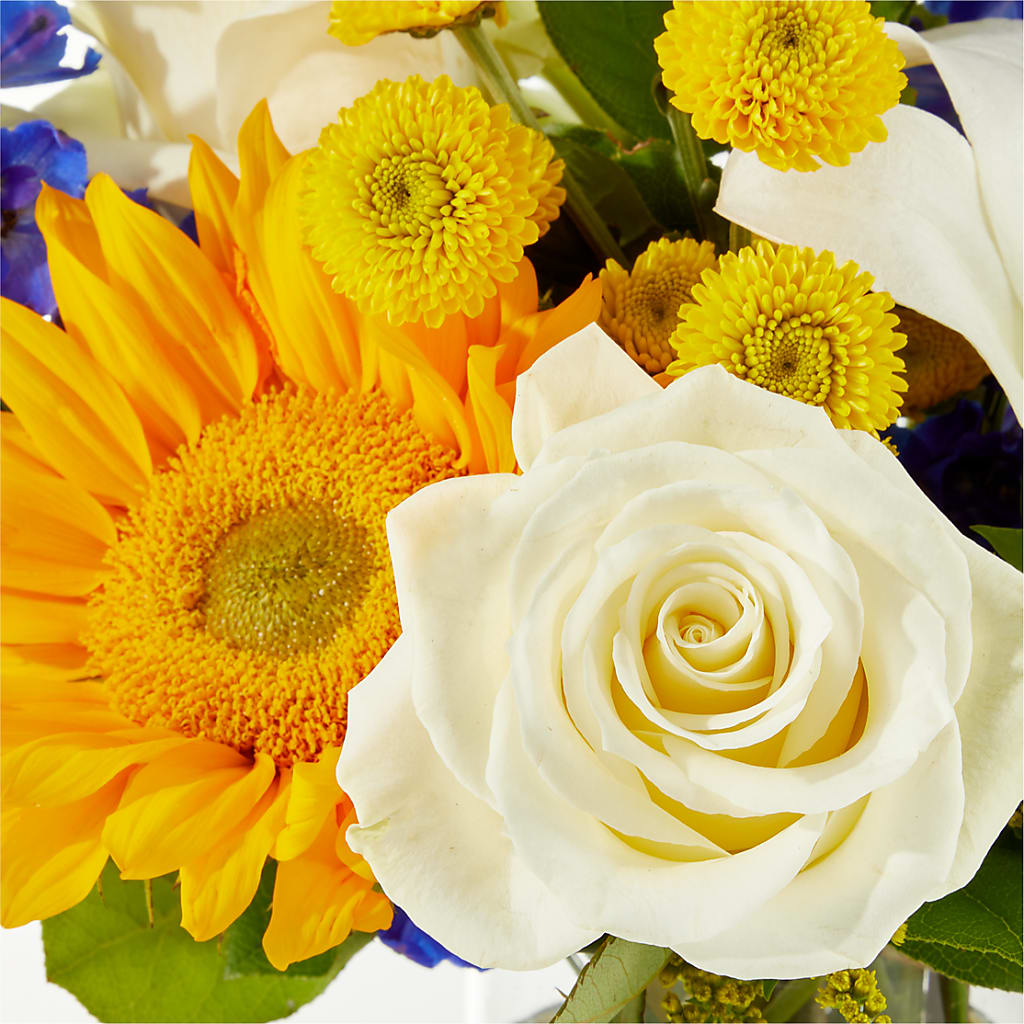 Stargazing Bouquet –  All Occasion Florist, Sevierville TN