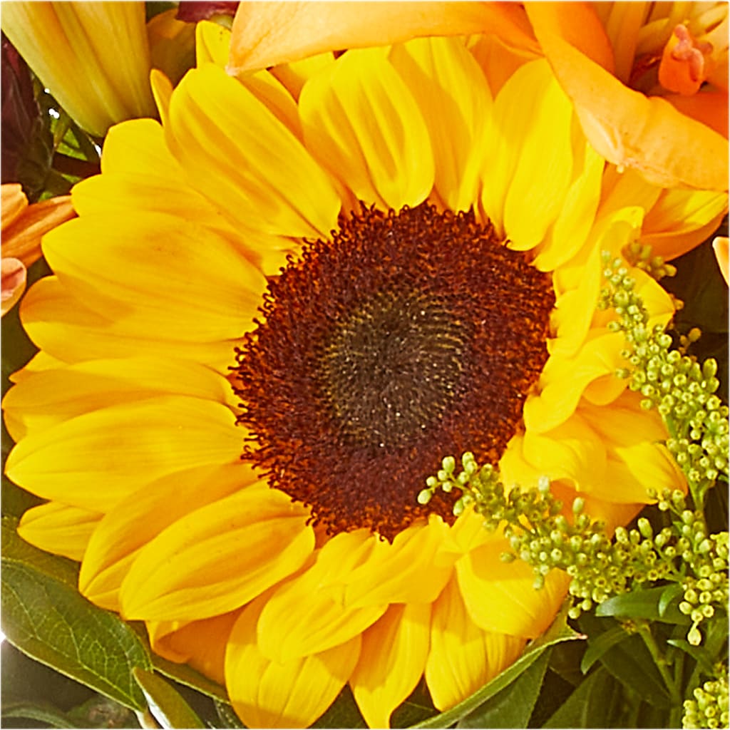 Seasons Change Bouquet –  All Occasion Florist, Sevierville TN