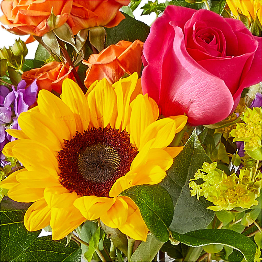 Vibrant Greetings Bouquet –  All Occasion Florist, Sevierville TN