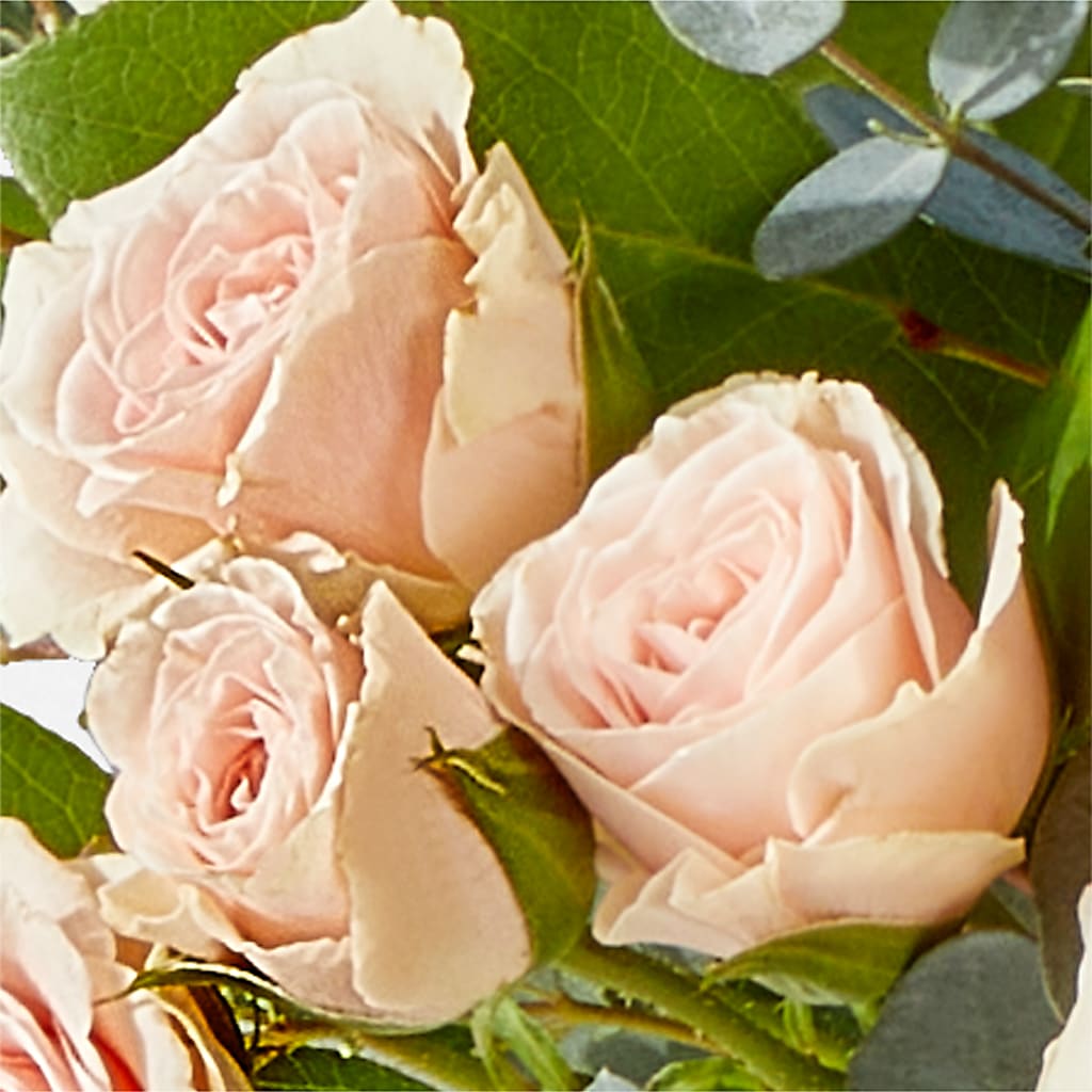 Inspired Bouquet –  All Occasion Florist, Sevierville TN