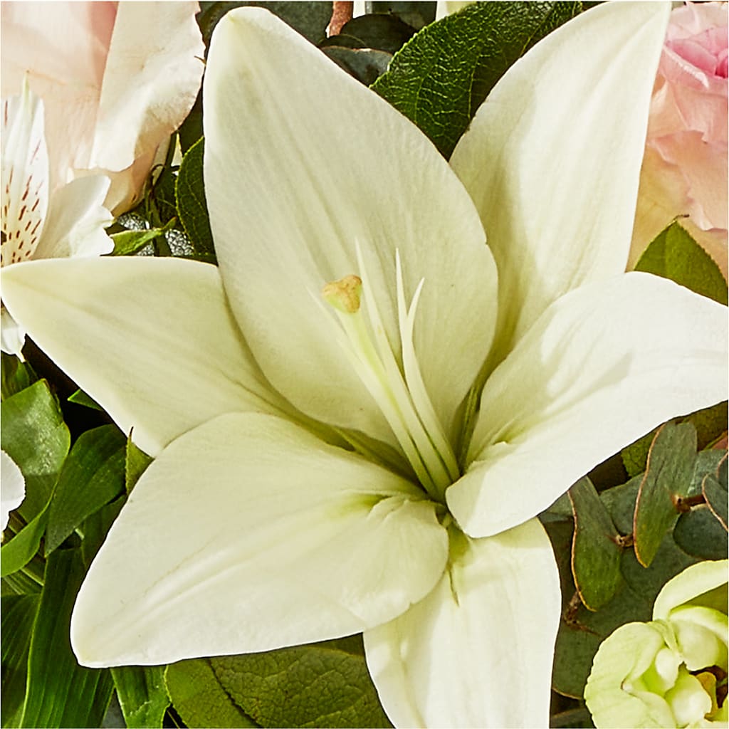 Ballet Slippers Bouquet –  All Occasion Florist, Sevierville TN