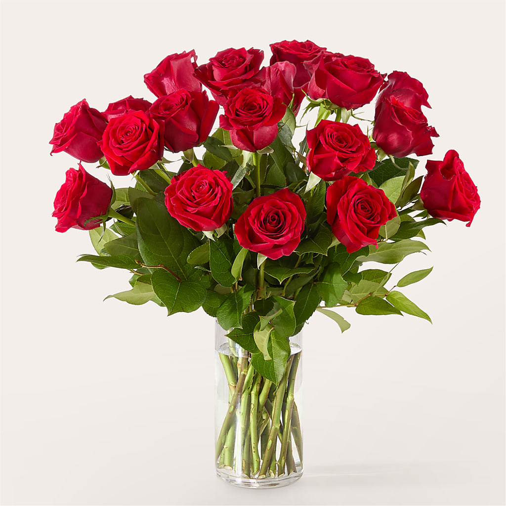 The One Red Rose Bouquet –  All Occasion Florist, Sevierville TN